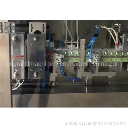 Sachet Water Filling And Sealing Machine GGS-240 Pure Honey Cosmetic Blister Packing Machine Supplier